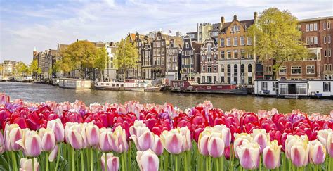 10 est to amsterdam